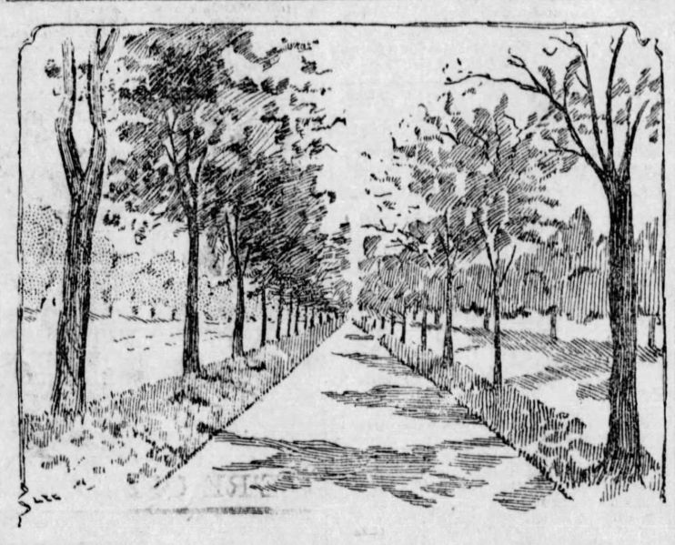 File:The San Francisco Examiner Mon Sep 10 1894 16.jpg