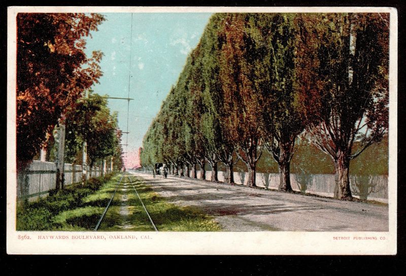 File:Haywards Boulevard Oakland 1906.jpg